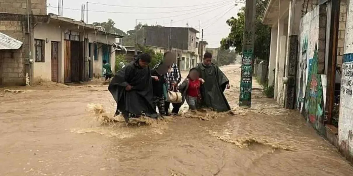 Inundaciones, visitantes atrapados y hasta un delfín varado, el saldo de “Nadine” por su paso en Chiapas 