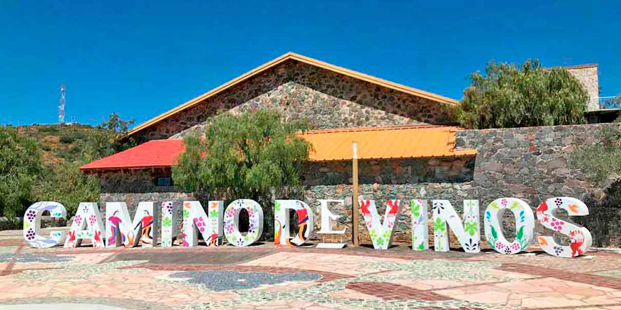 Camino de Vinos: la nueva experiencia turística para descubrir Guanajuato entre copas y paisajes