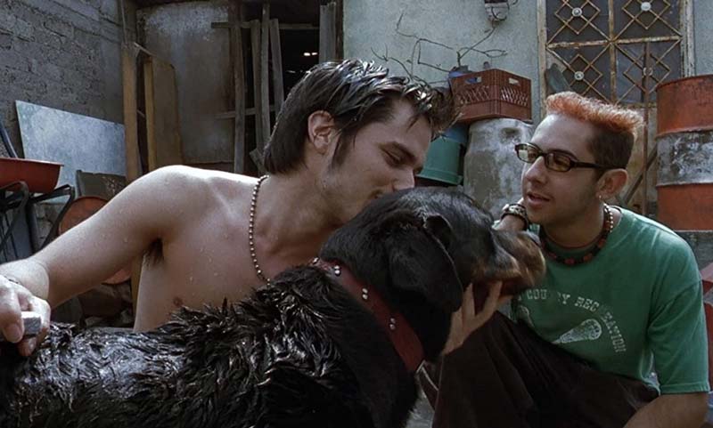 “Amores Perros” y su legado tras 25 años de su llegada a carteleras