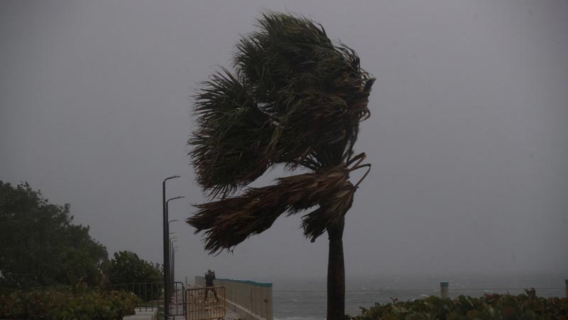Isaías alcanzó vientos máximos sostenidos de 65 km/h y fue clasificada como tormenta tropical durante la madrugada de este miércoles.
