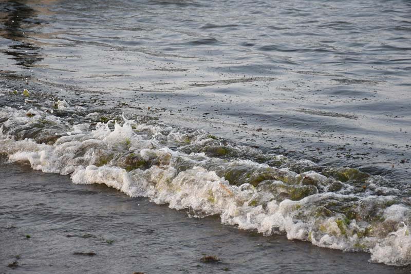 “Que venga”: pescadores desafían a Rocío Nahle en Veracruz