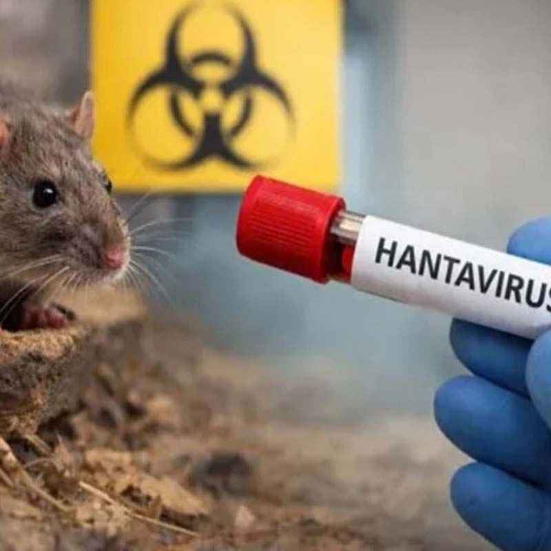 OMS descarta pandemia por hantavirus: “No será el próximo COVID-19”