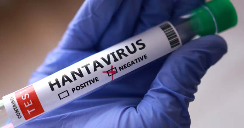OMS descarta pandemia por hantavirus: “No será el próximo COVID-19”