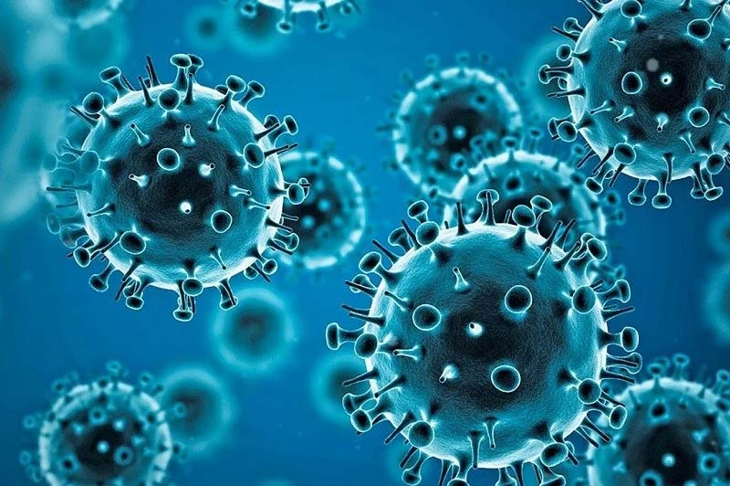 OMS descarta pandemia por hantavirus: “No será el próximo COVID-19”