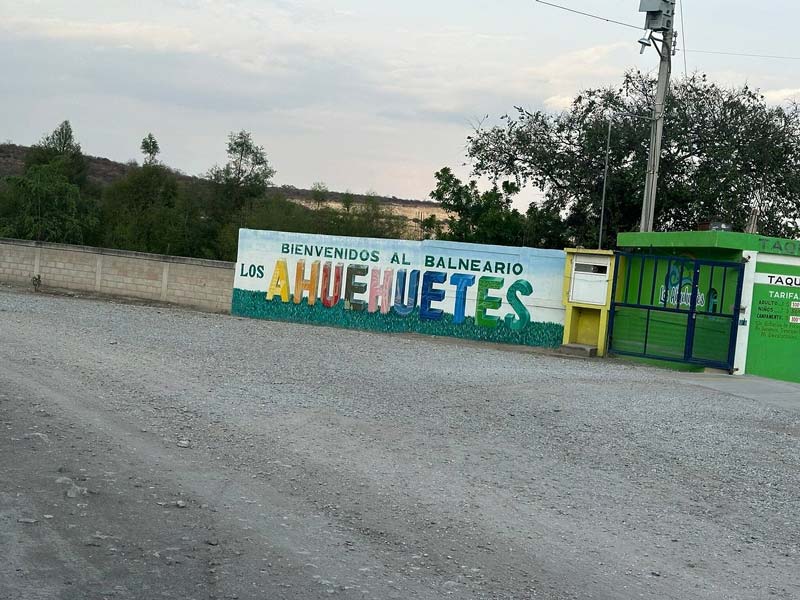Visita los Ahuehuetes de Tepeojuma, el destino natural imperdible de Puebla