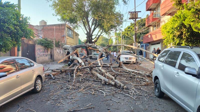 Balance del sismo en Guerrero: dos muertos y 500 viviendas afectadas