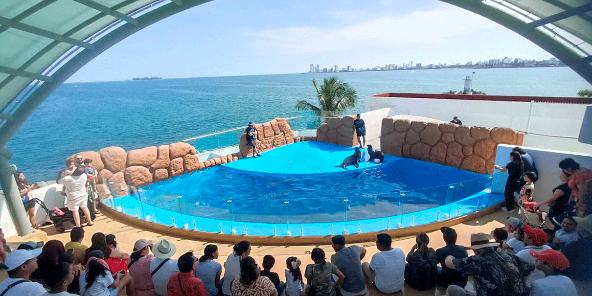 Aquarium del Puerto