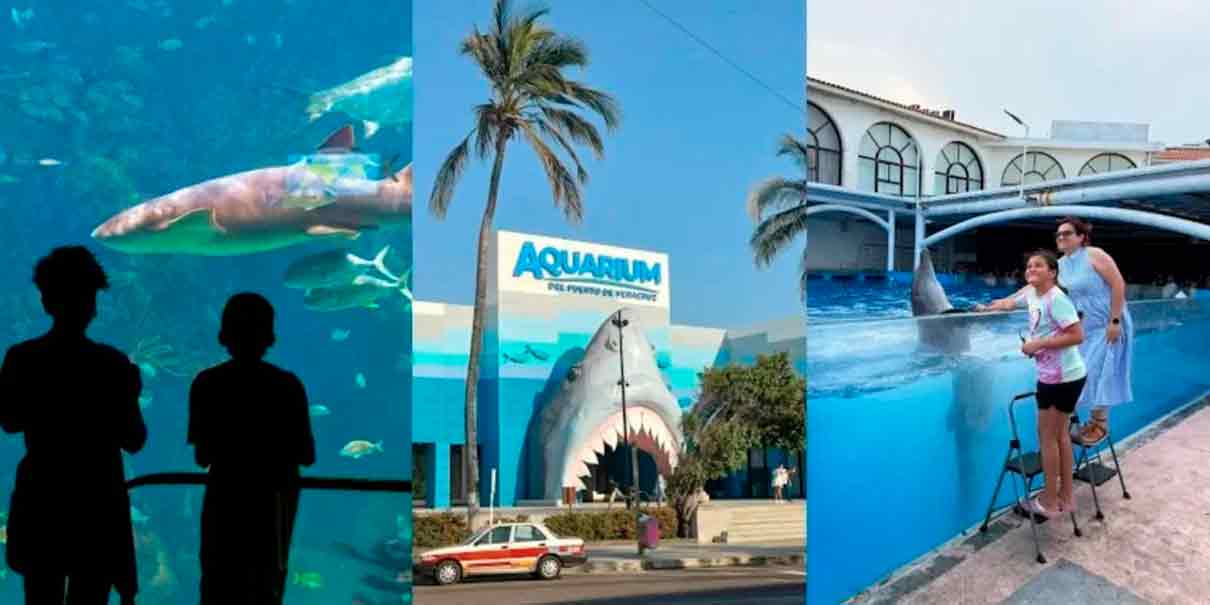 Aquarium del Puerto