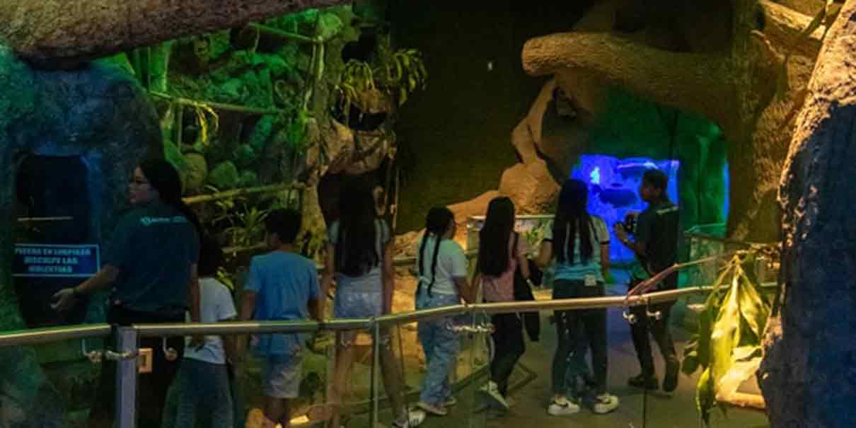 Aquarium del Puerto