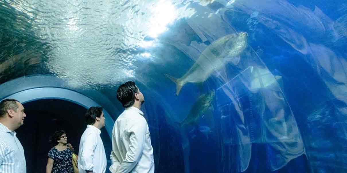Aquarium del Puerto