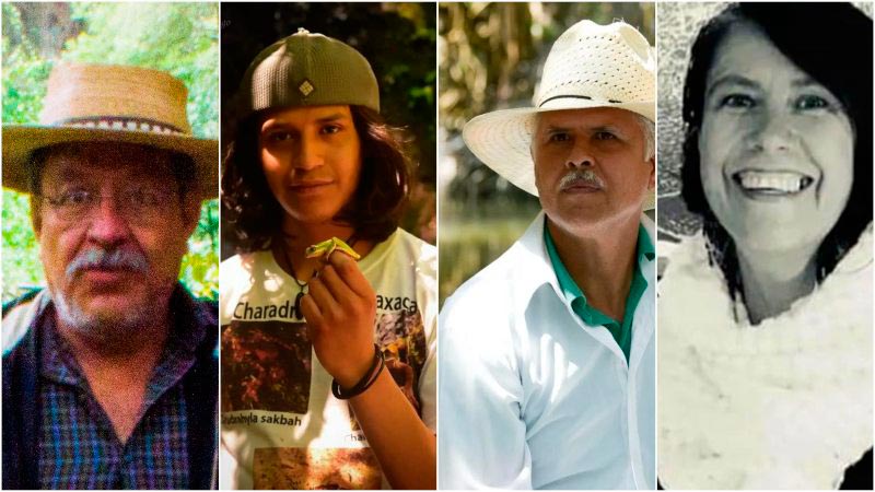 México enfrenta una crisis por el aumento de asesinatos de activistas ambientales. Conoce cifras, causas, el papel del Estado, casos emblemáticos como Homero Gómez González y retos para su protección