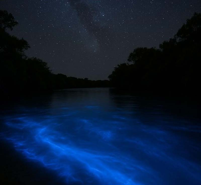 Laguna de Manialtepec: el paraíso bioluminiscente de Oaxaca que debes ver de noche