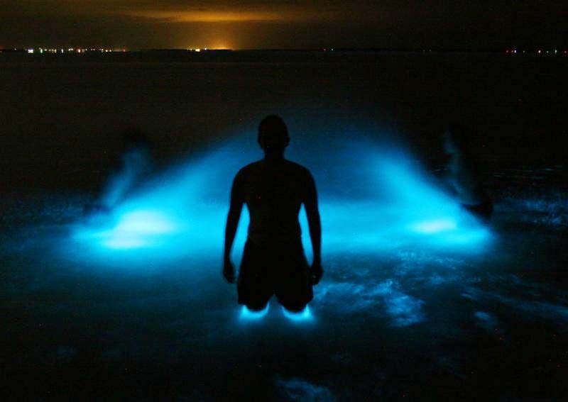 ¿Agua que brilla? Así es la increíble Laguna de Manialtepec en Oaxaca