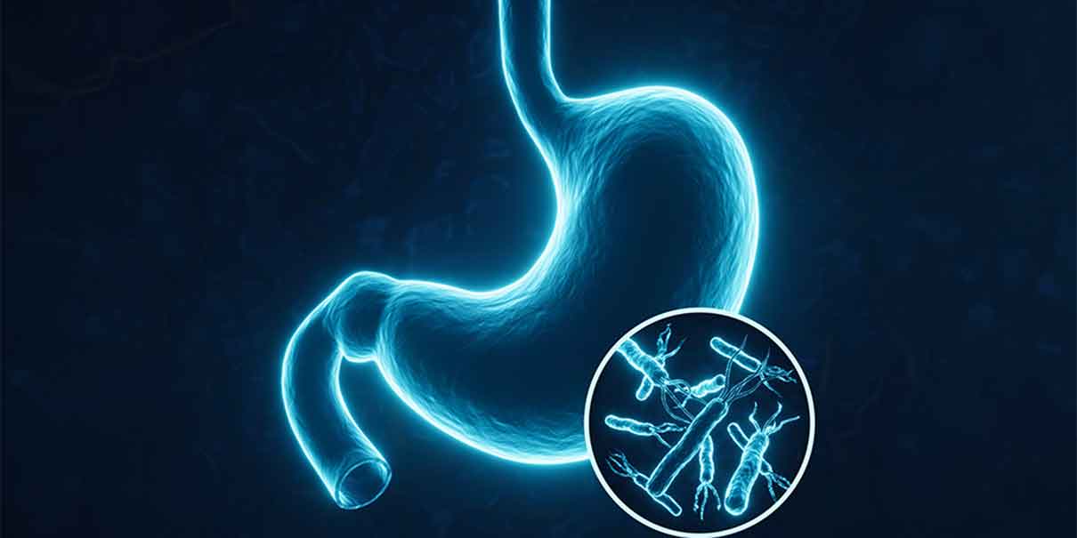 Bacteria H. pylori