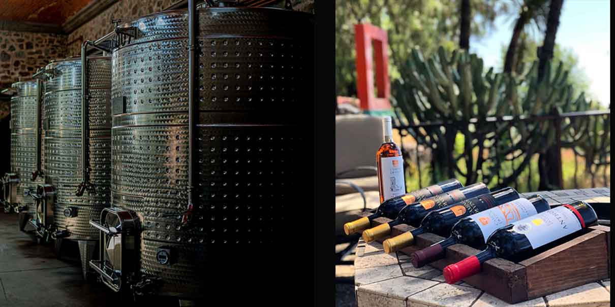 Barriles y vino