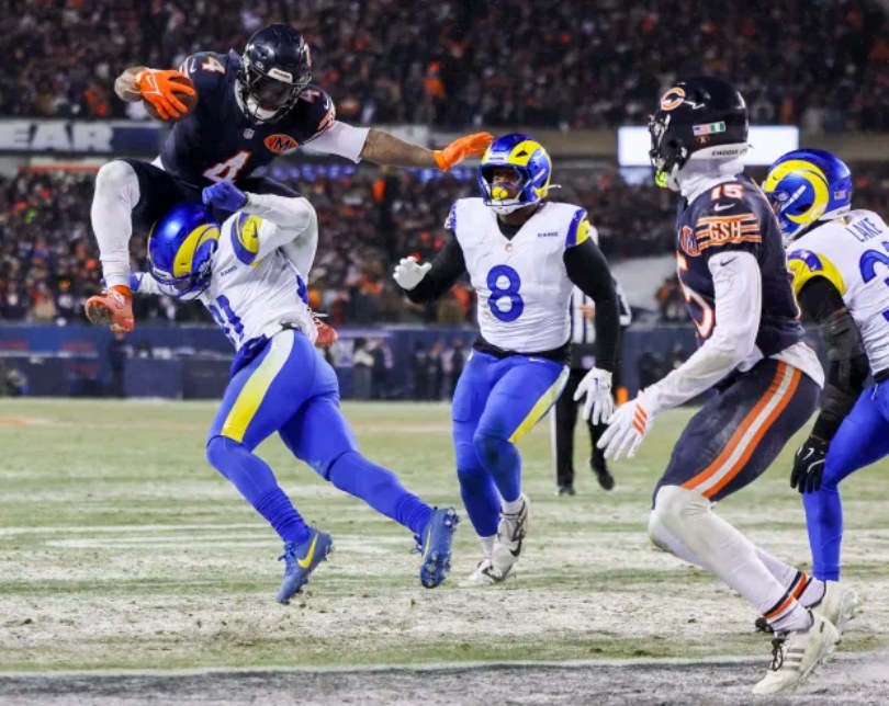 bears