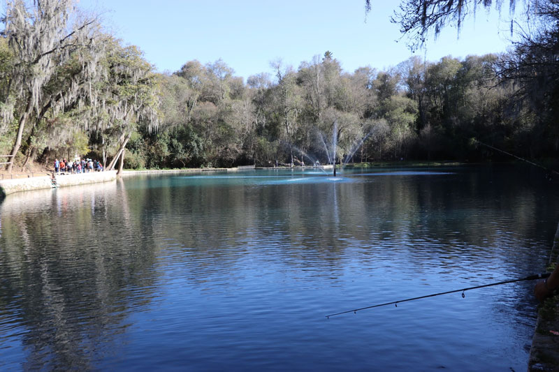 El Bosque de las Truchas, ubicado en San Miguel Regla, Huasca de Ocampo, Hidalgo, destaca por sus paisajes boscosos, lagunas y atractivos ecoturísticos.