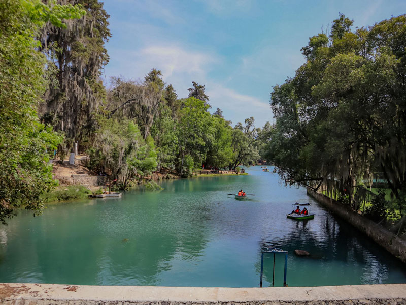 El paseo en lancha por las lagunas del Bosque de las Truchas, en Hidalgo, permite disfrutar de paisajes rodeados de árboles y aguas de tonos verdosos.