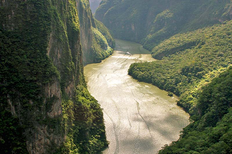 Lagunas de Catazajá: el paraíso escondido de Chiapas donde puedes ver manatíes en libertad