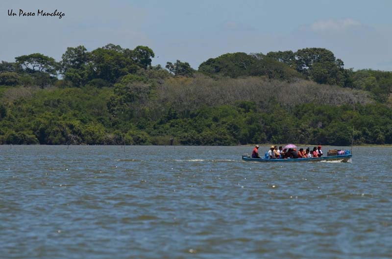 Lagunas de Catazajá: el paraíso escondido de Chiapas donde puedes ver manatíes en libertad