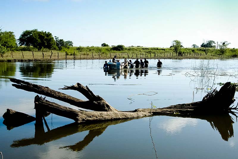 Lagunas de Catazajá: el paraíso escondido de Chiapas donde puedes ver manatíes en libertad