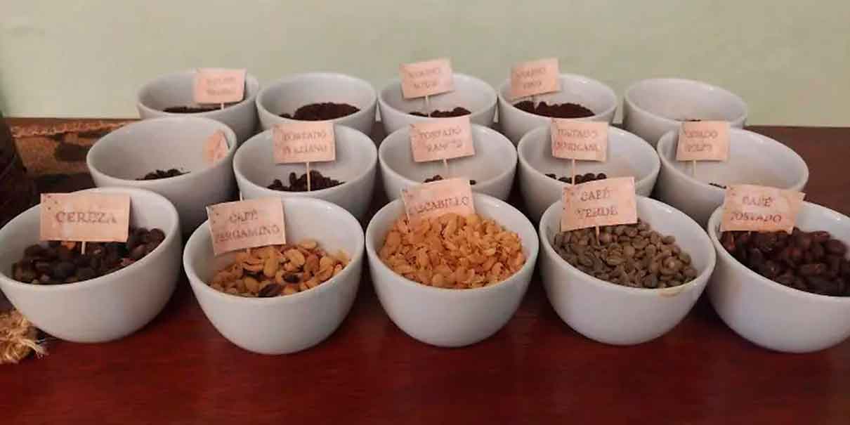 El café de Los Tuxtlas