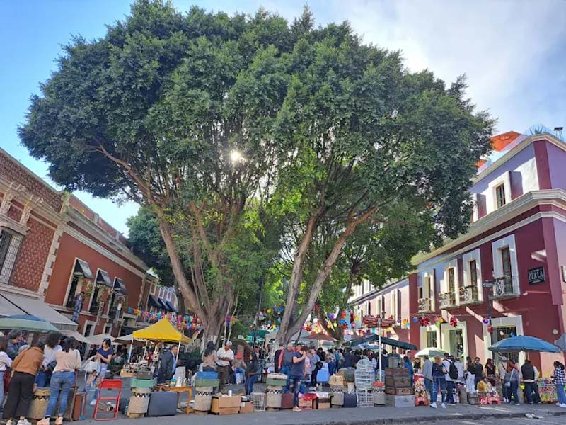 Descubre el Callejón de los Sapos, el barrio más pintoresco del Centro Histórico de Puebla