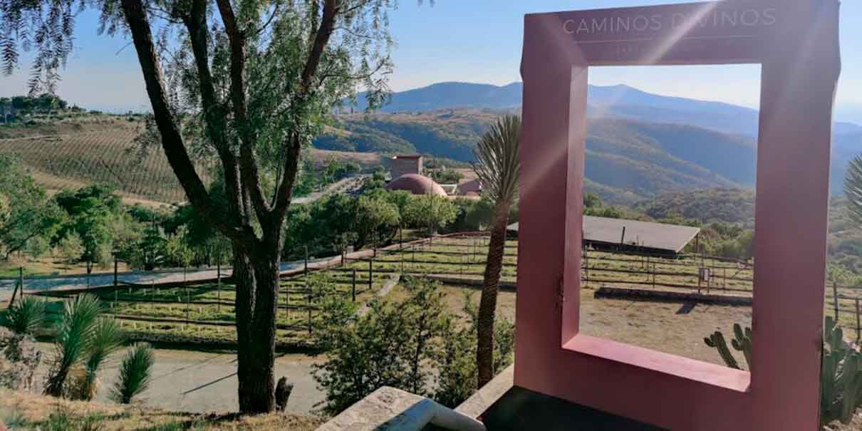Camino de vinos 