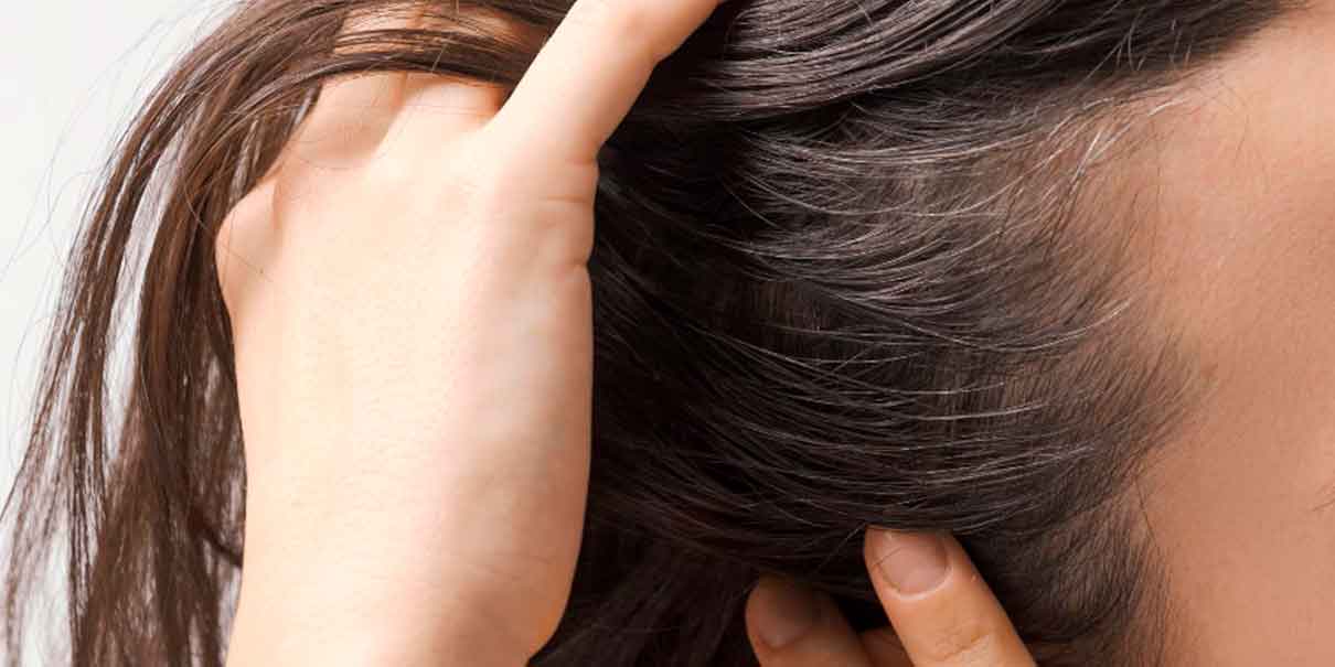 Cubre canas perfectamente 