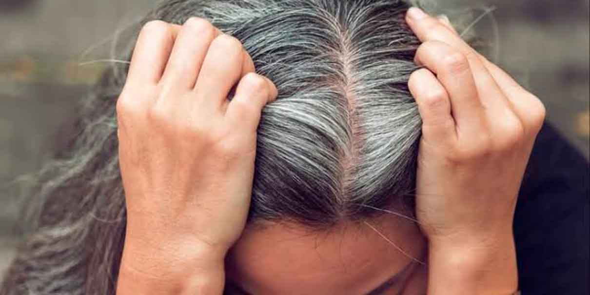 Las canas siempre reaparecen