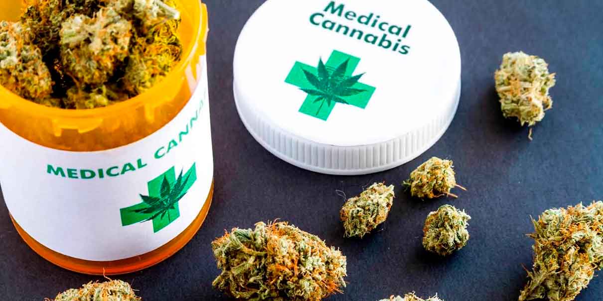 Cannabis