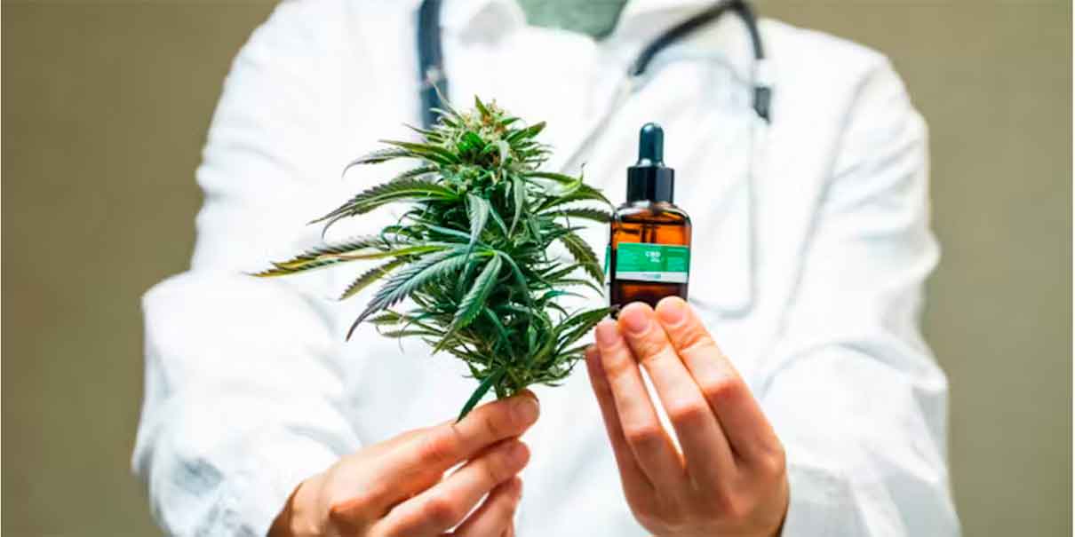 Cannabis