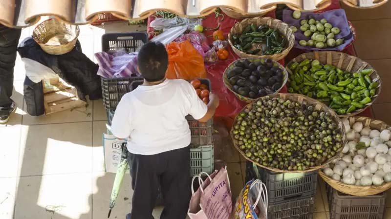 Entre niebla y montañas: Capulálpam de Méndez, el destino secreto de Oaxaca que debes visitar