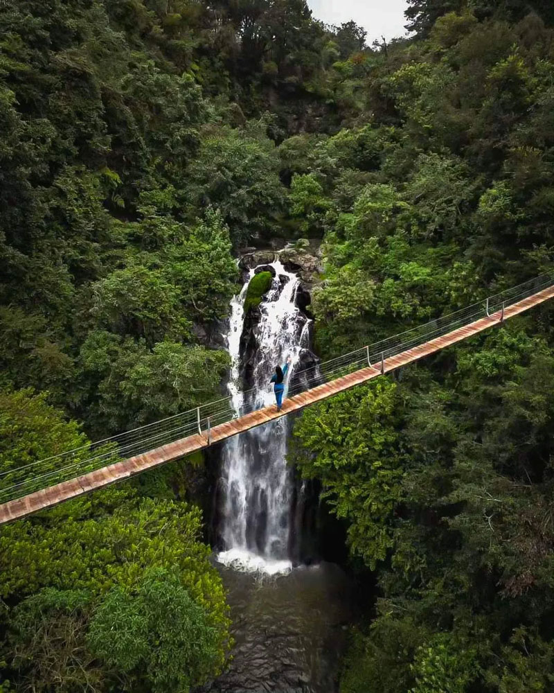 La Cascada de Bandola, en Hidalgo, ofrece un entorno natural para contemplar el paisaje, tomar fotografías y realizar caminatas entre la vegetación.