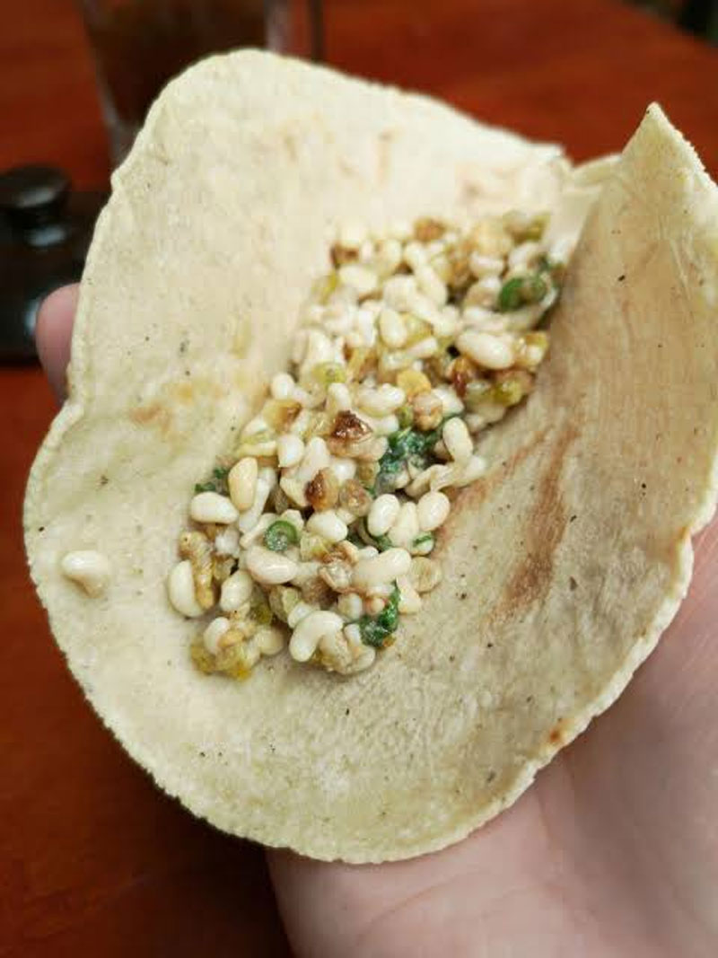 El cahuiche, fruto silvestre de la región, destaca entre los productos tradicionales de Hidalgo y forma parte de la riqueza gastronómica de la zona serrana.