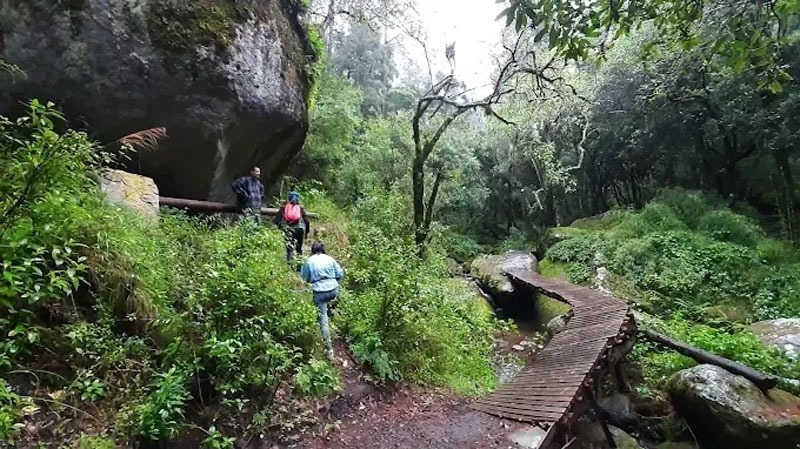 Para visitar la Cascada de Bandola, se recomienda llevar calzado cerrado y antiderrapante, ropa cómoda y una chamarra ligera por el clima de montaña.