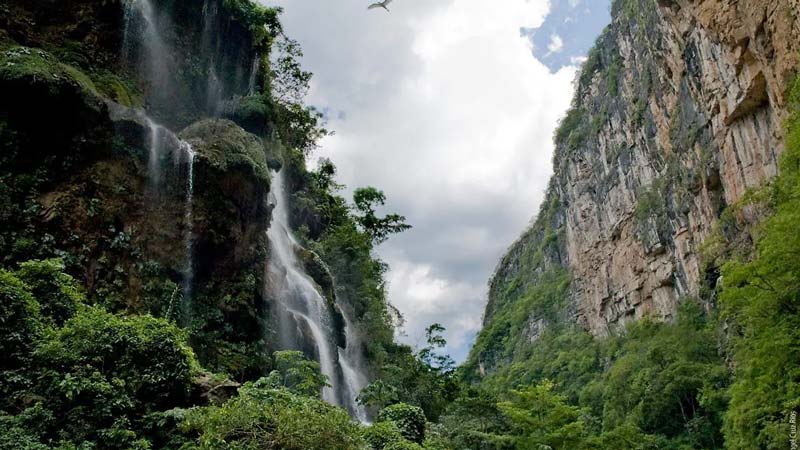 Cascada El Aguacero Chiapas: el lugar secreto donde la naturaleza creó una lluvia eterna entre selva y cañones