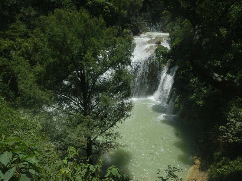 Cascada El Aguacero Chiapas: el lugar secreto donde la naturaleza creó una lluvia eterna entre selva y cañones
