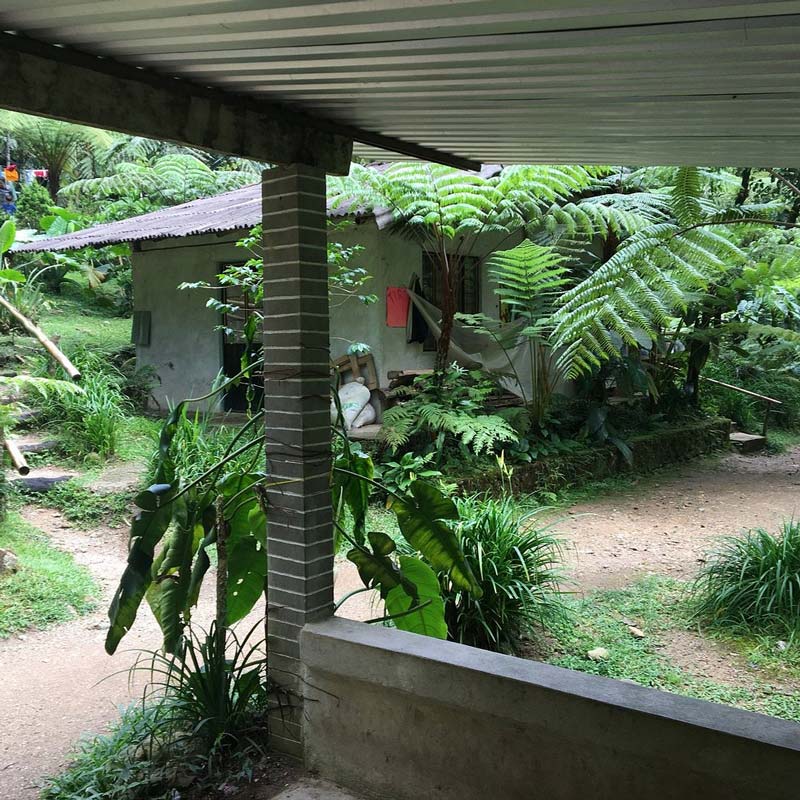 Descubre Cascada Las Brisas: la joya escondida de Puebla que debes visitar