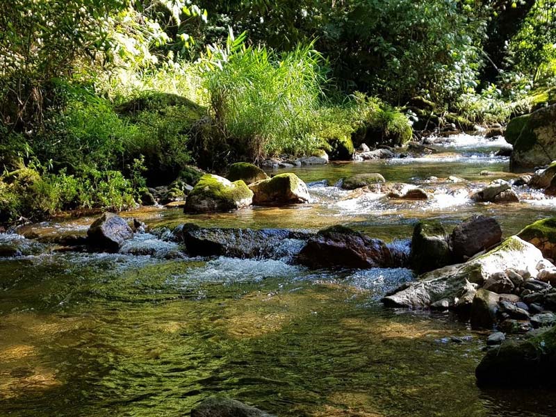 Descubre Cascada Las Brisas: la joya escondida de Puebla que debes visitar