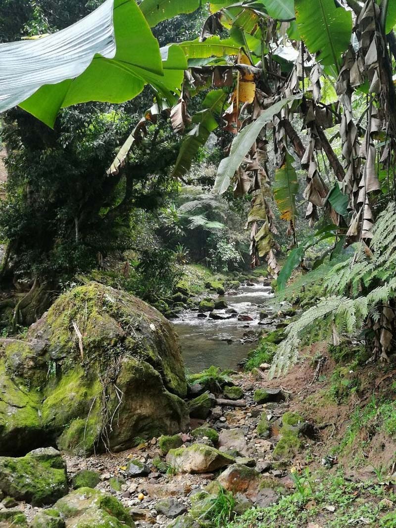 Descubre Cascada Las Brisas: la joya escondida de Puebla que debes visitar