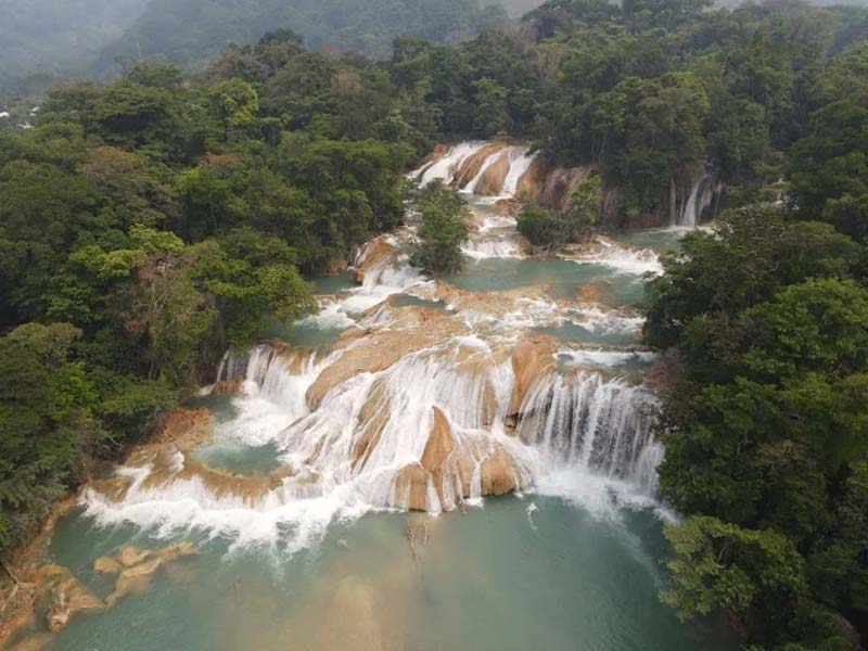 Cascadas de Agua Azul, Chiapas: el paraíso turquesa que parece irreal en medio de la selva mexicana