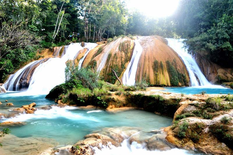 Cascadas de Agua Azul, Chiapas: el paraíso turquesa que parece irreal en medio de la selva mexicana