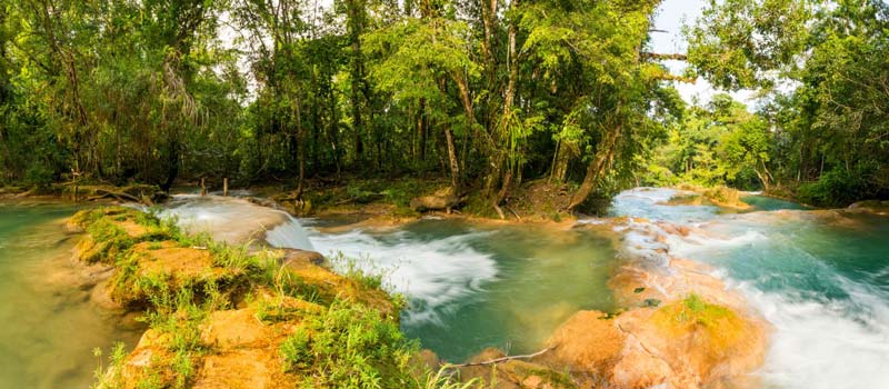 Cascadas de Agua Azul, Chiapas: el paraíso turquesa que parece irreal en medio de la selva mexicana
