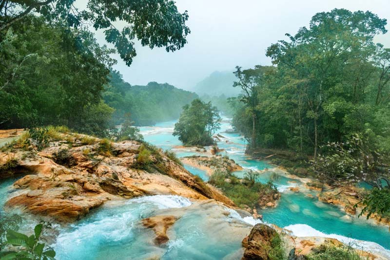 Cascadas de Agua Azul, Chiapas: el paraíso turquesa que parece irreal en medio de la selva mexicana