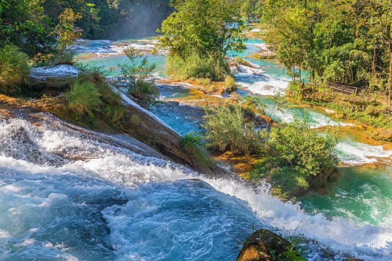 Cascadas de Agua Azul, Chiapas: el paraíso turquesa que parece irreal en medio de la selva mexicana