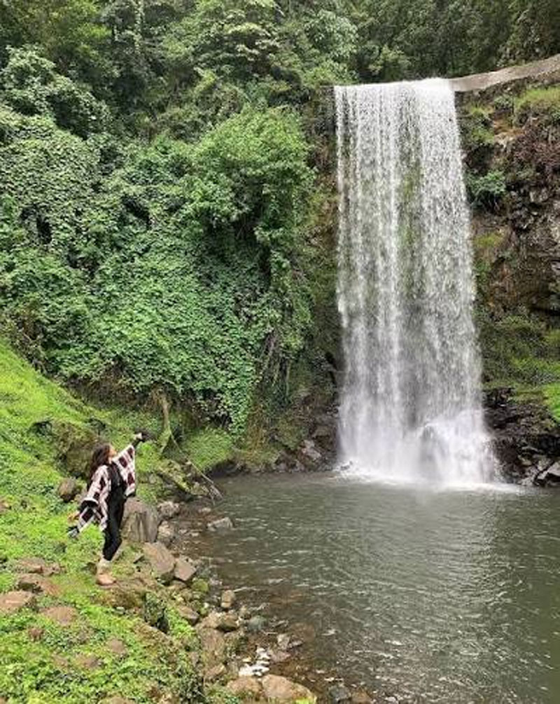 El senderismo permite llegar a las Cascadas de Chimalapa a través de caminos naturales rodeados de vegetación.
