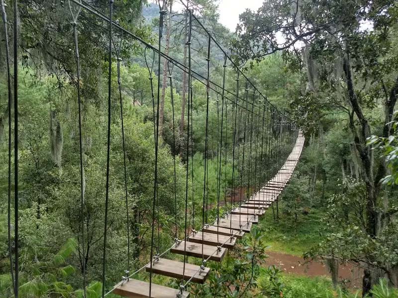 Cascadas de Tulimán, Puebla: el paraíso natural más imponente de la Sierra Norte