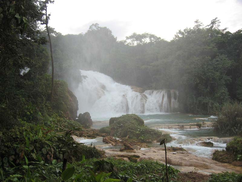 Entre nubes, selva y agua turquesa: descubre las impresionantes Cascadas Las Nubes en Chiapas