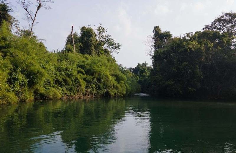 Centro Ecoturístico Las Guacamayas, Chiapas: el paraíso de la guacamaya roja en la Selva Lacandona